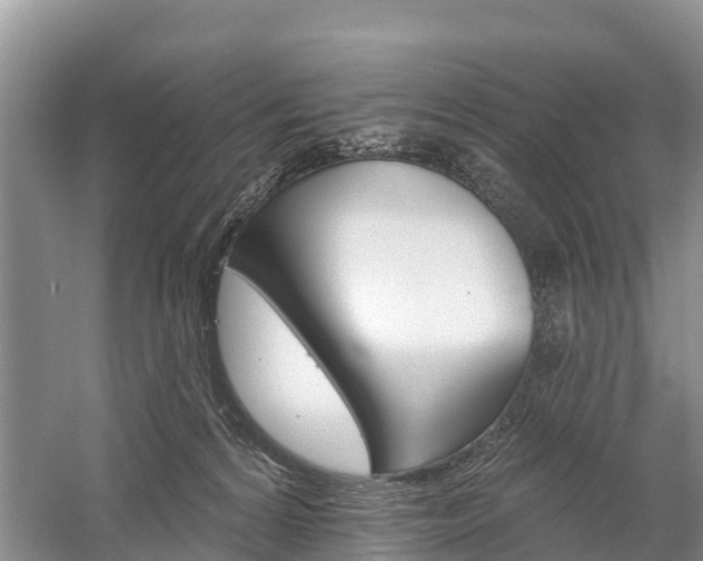 X0000059820224200510211004