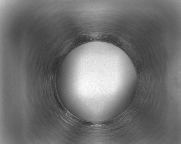 X0000059820225200510211004