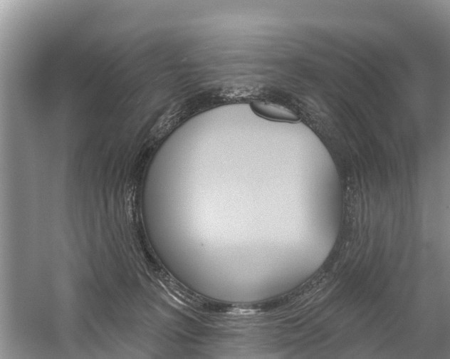 X0000059820227200510211004