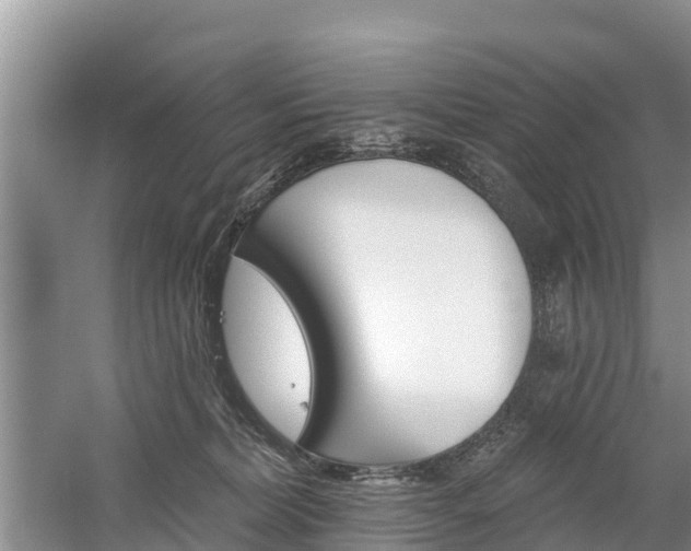 X0000059820228200510211004