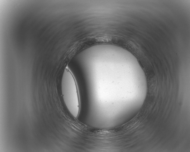 X0000059820229200510211004