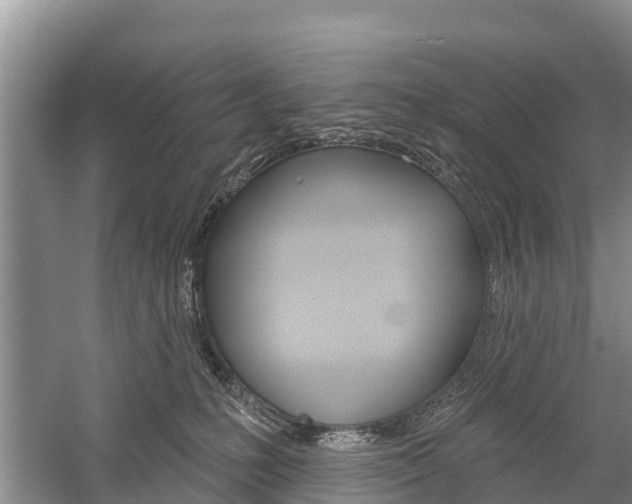 X0000059820231200510211004