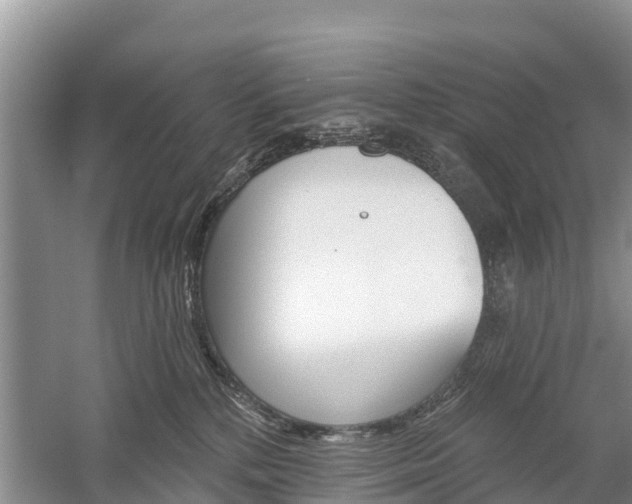 X0000059820232200510211004