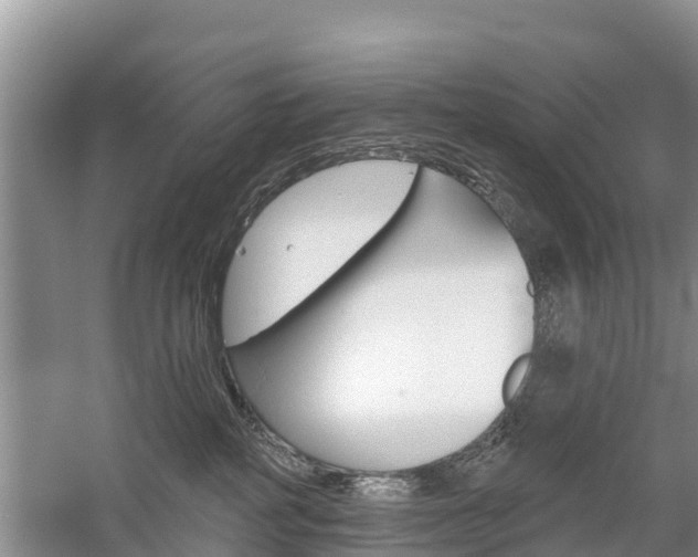 X0000059820234200510211003