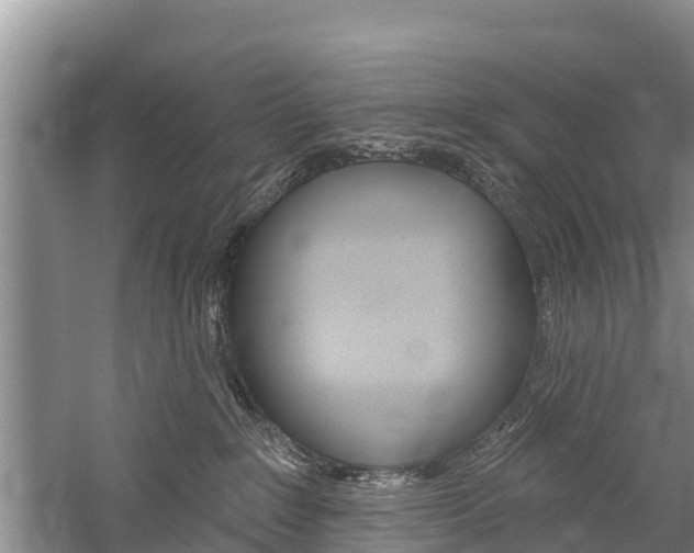 X0000059820235200510211003