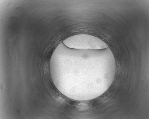 X0000059820236200510211003