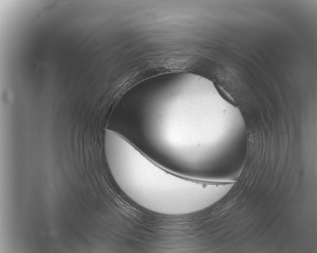 X0000059820237200510211003