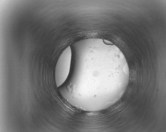 X0000059820238200510211003