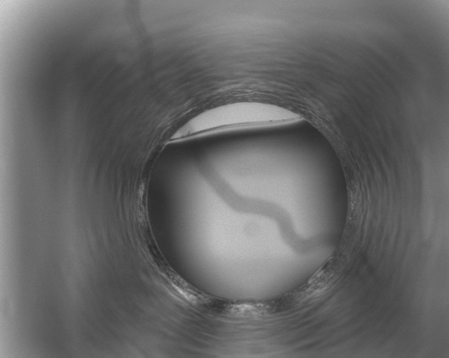 X0000059820239200510211003