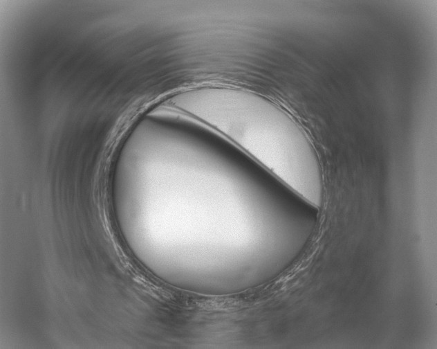 X0000059820241200510211003