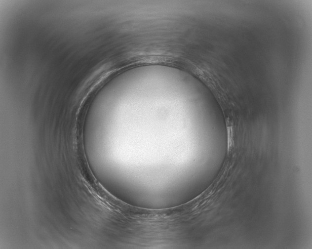 X0000059820243200510211003