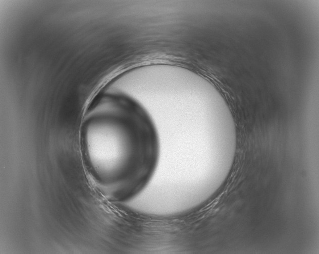 X0000059820244200510211003