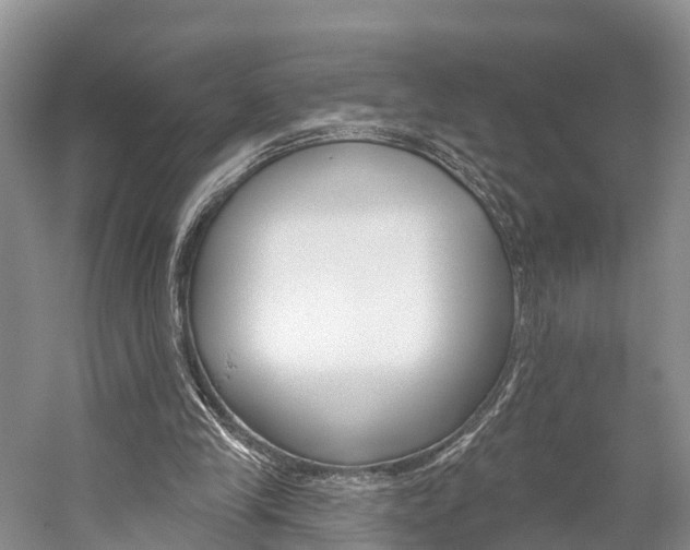 X0000059820245200510211003