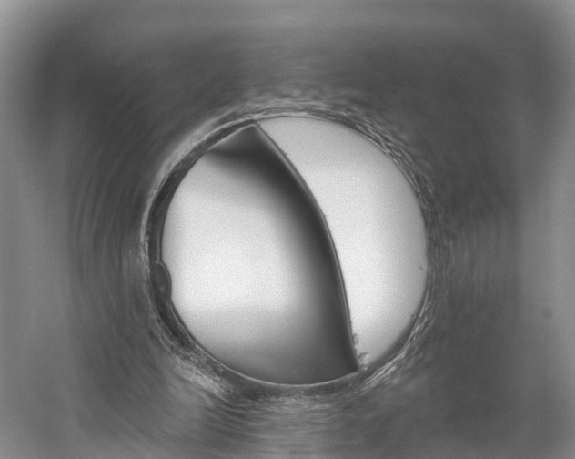 X0000059820246200510211003