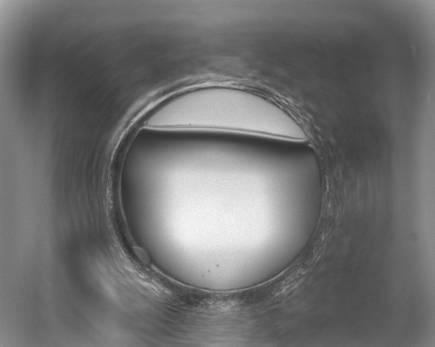 X0000059820247200510211003