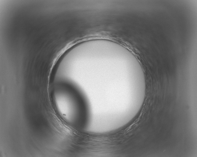 X0000059820248200510211003