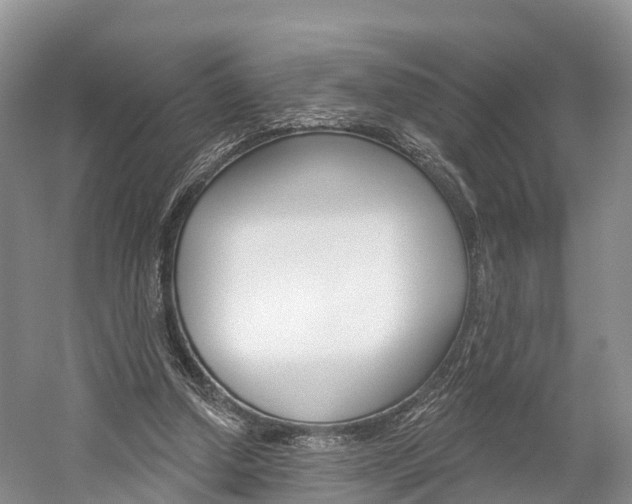 X0000059820250200510211003