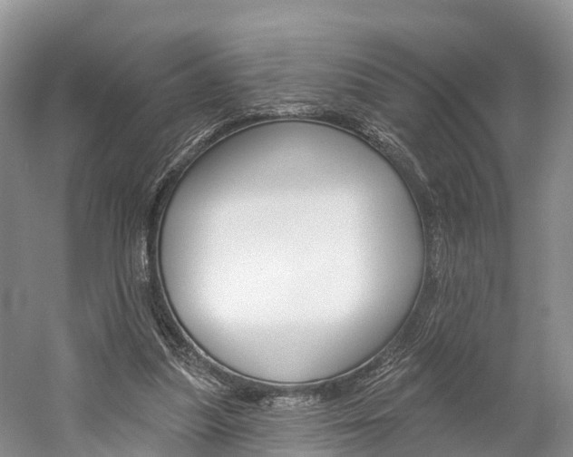 X0000059820251200510211003