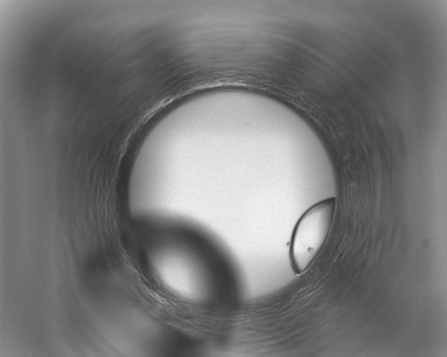 X0000059820252200510211003