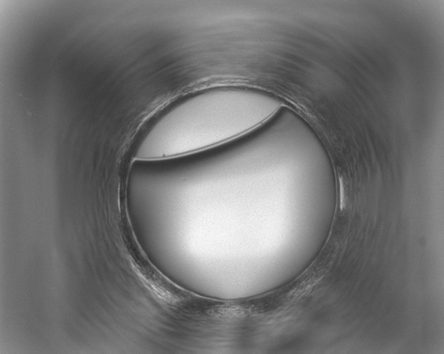 X0000059820253200510211003