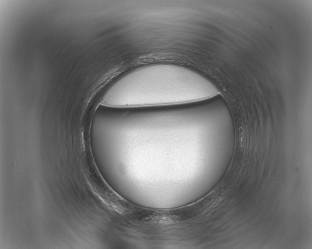 X0000059820254200510211003