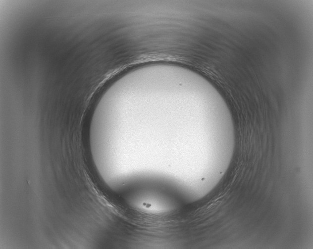 X0000059820256200510211003