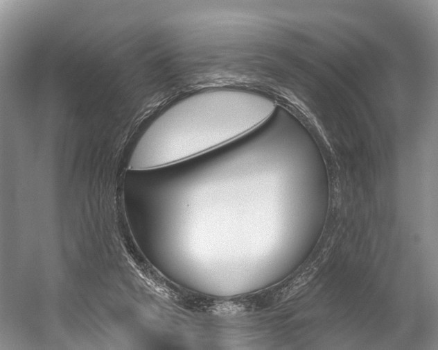 X0000059820257200510211003