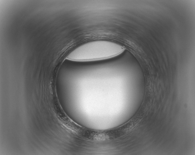 X0000059820258200510211003