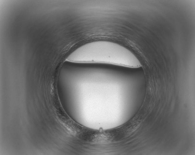 X0000059820259200510211003