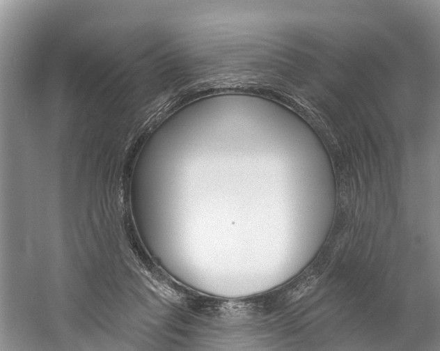 X0000059820261200510211003