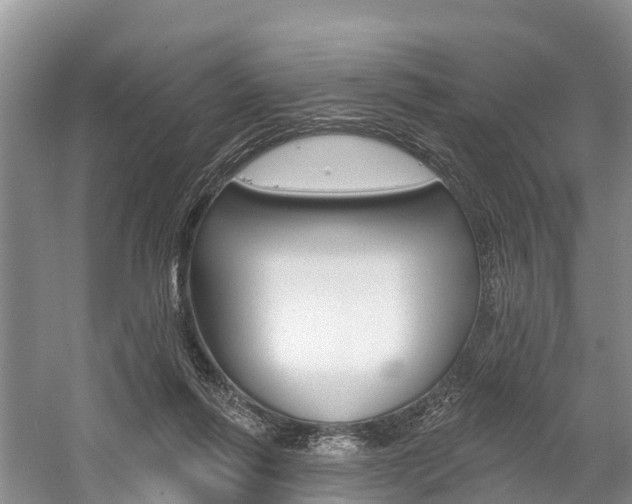 X0000059820262200510211003