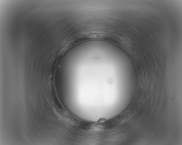 X0000059820263200510211003