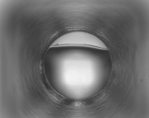 X0000059820264200510211003