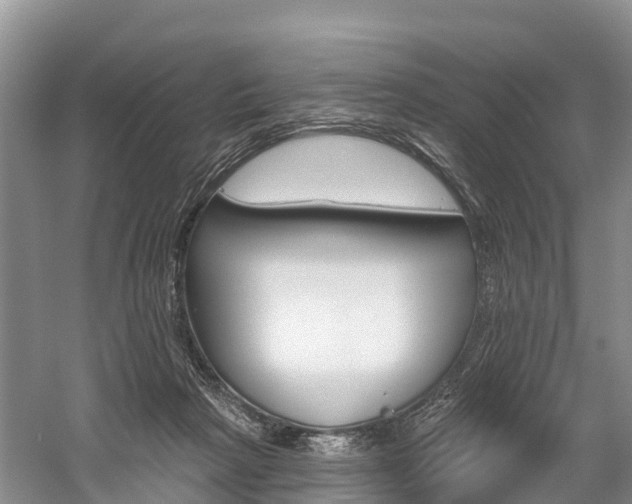 X0000059820265200510211003