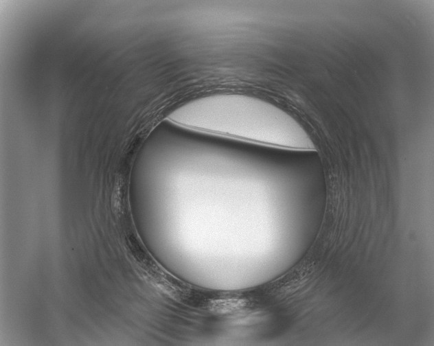 X0000059820266200510211003