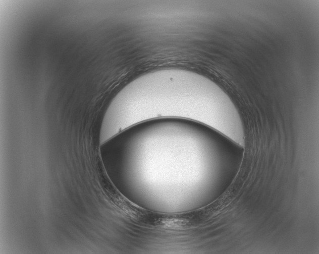 X0000059820268200510211003