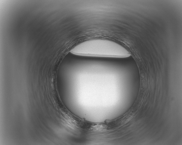 X0000059820269200510211003