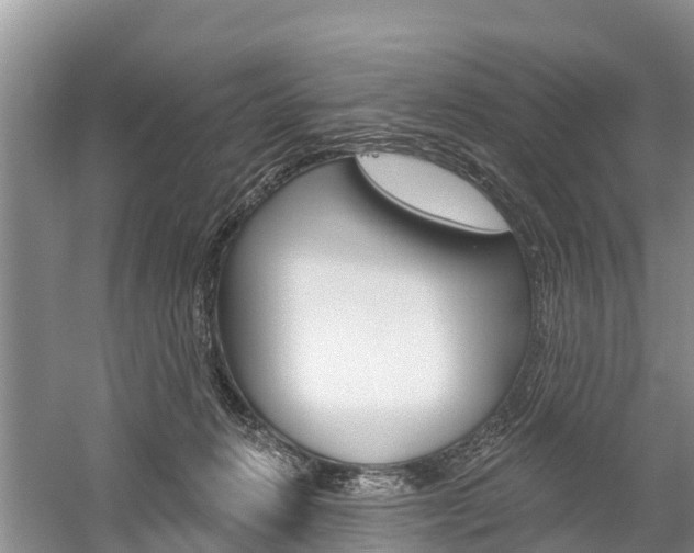 X0000059820270200510211003