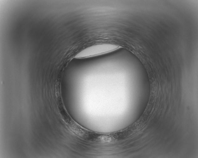 X0000059820272200510211003