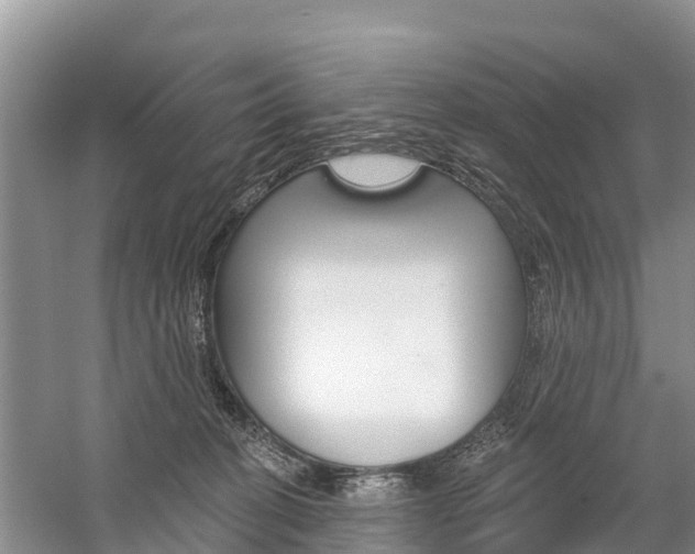 X0000059820274200510211003