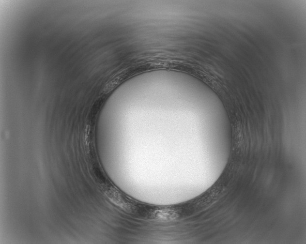 X0000059820275200510211003