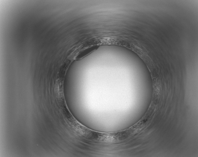 X0000059820276200510211003