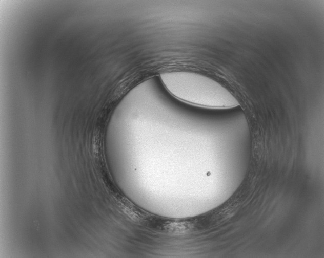 X0000059820277200510211003