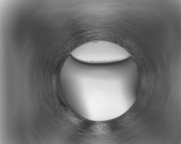 X0000059820278200510211003