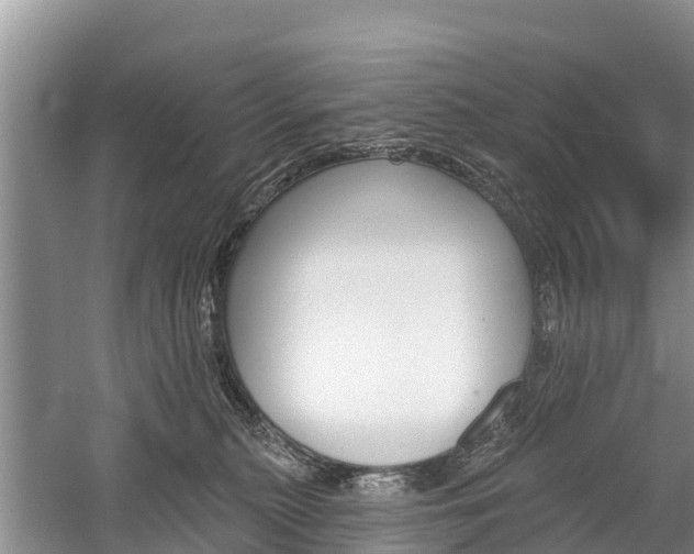 X0000059820279200510211003