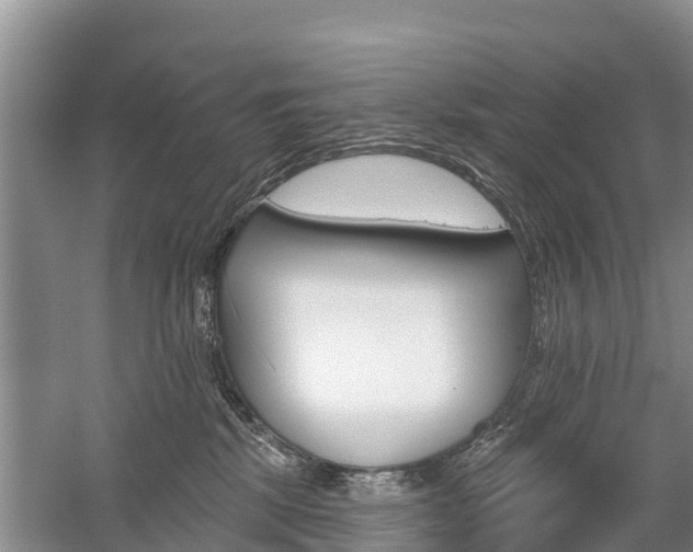 X0000059820281200510211003