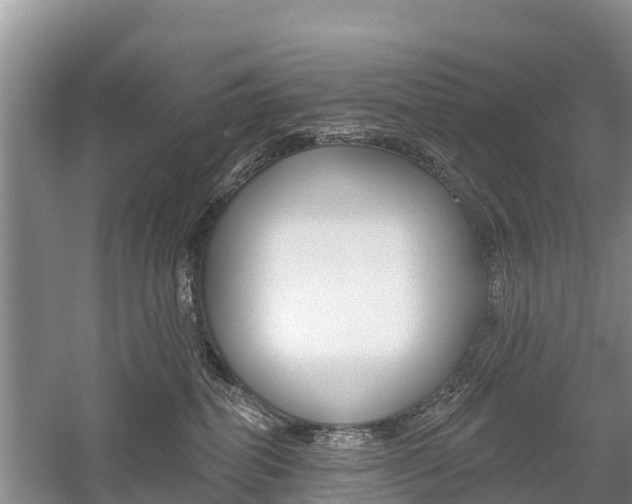 X0000059820282200510211003