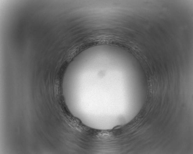 X0000059820283200510211003