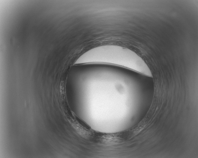 X0000059820284200510211003