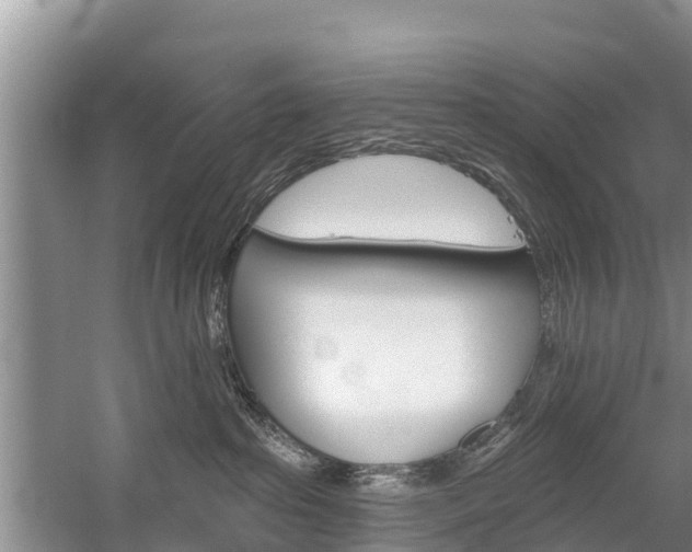 X0000059820285200510211003